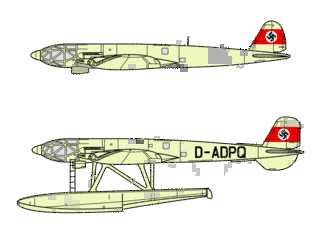 HE 119の画像