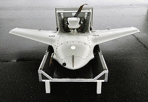 RQ-15の画像