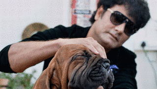 GOVERNMENT OF DOGSの画像