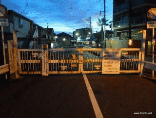 片瀬江ノ島駅前暴走注意事件の画像