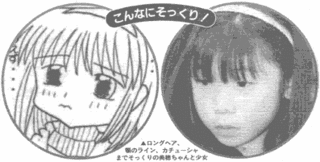 黒磯小2女児誘拐事件の画像