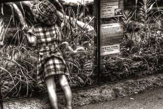 東京都北区幼女殺害事件の画像