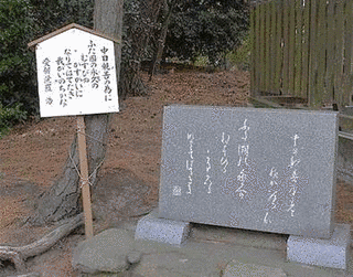 天城山心中の画像