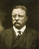 1912年アメリカ合衆国大統領選挙の画像