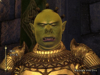 THE ELDER SCROLLS IV: オブリビオンの画像