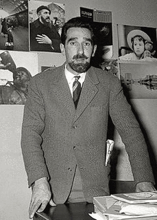 マーリオ・リゴーニ・ステルンの画像