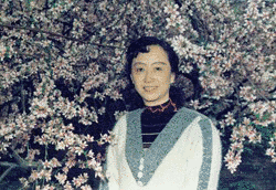 張抗抗の画像