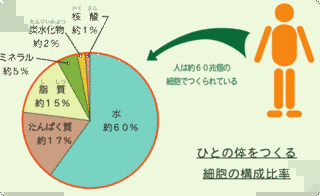 孔善玉の画像