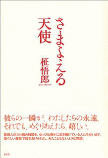 柾悟郎の画像