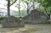木庭知時の画像