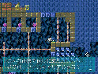 いかちゃんの画像