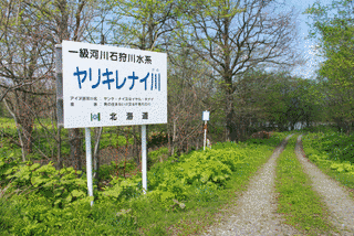 ヤリキレナイ川の画像