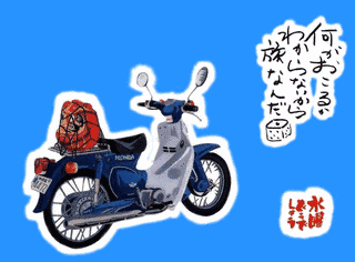 BSの深夜番組の画像