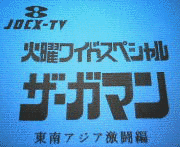 ザ・ガマンの画像