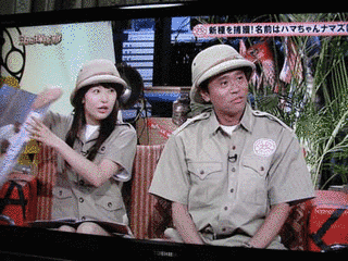 浜田探検部の画像