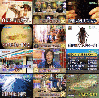 思い込みは一生の恥!クイズ本当にそれでいいんですね?の画像