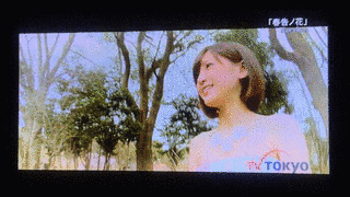 オールナイトミュージックの画像
