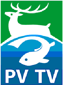 PVTVの画像