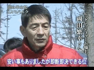 酔いどれない競馬の画像