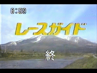 レースガイドの画像