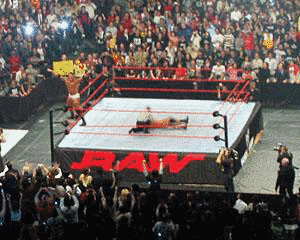 ROAD TO WRESTLEMANIA 21 JAPAN TOURの画像