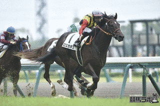 ダイナミック競馬の画像