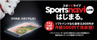 スカパー!MLBライブの画像