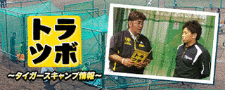 タイガース&ファイターズキャンプTVの画像