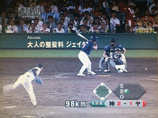 虎辞書なる!!の画像