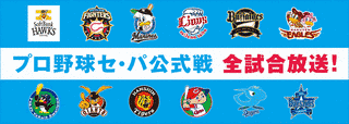 ドラマティック プロ野球・パ!の画像