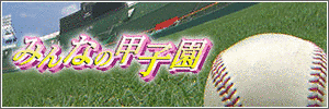みんなの甲子園の画像
