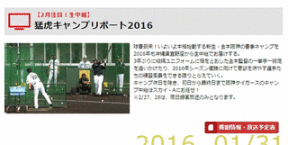 猛虎キャンプリポートの画像