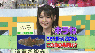 おとなの学力検定スペシャル小学校教科書クイズ!の画像