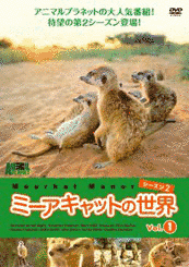 ミーアキャットの世界の画像
