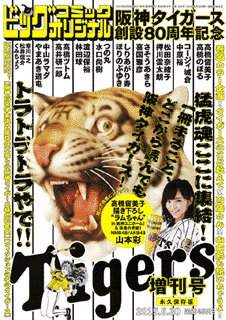 ビッグコミックオリジナル増刊の画像