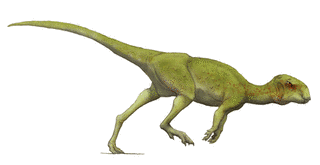 アギリサウルスの画像