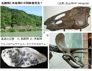アルバロフォサウルスの画像