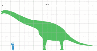 インシャノサウルスの画像