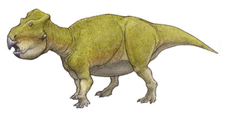 ウダノケラトプスの画像