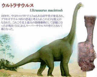 ウルトラサウルスの画像