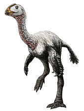 エルミサウルスの画像
