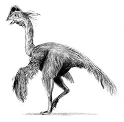 オヴィラプトロサウルス類の画像