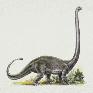 オメイサウルスの画像