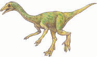 ガルディミムスの画像