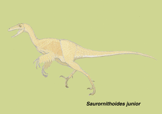 サウロルニトイデスの画像