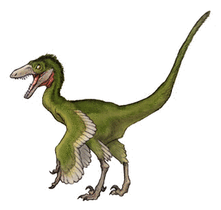 シノルニトサウルスの画像
