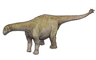 シュノサウルスの画像