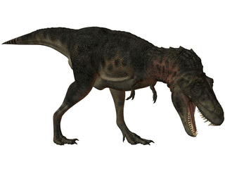 タルボサウルスの画像