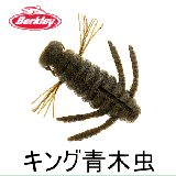 チュンキンゴサウルスの画像