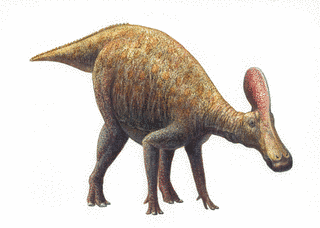 チンタオサウルスの画像